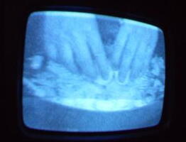 2006 01 10 09 19 46