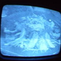 2006 01 10 09 21 27