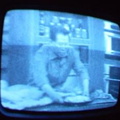 2006 01 10 09 21 37