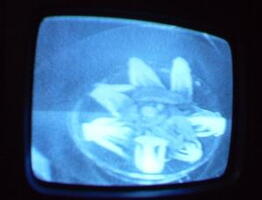2006 01 10 09 23 37