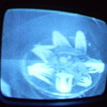 2006 01 10 09 23 37