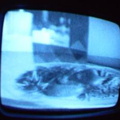 2006 01 10 09 24 37