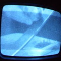 2006 01 10 09 30 28