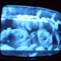 2006 01 10 09 31 18