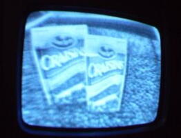 2006 01 10 09 31 37