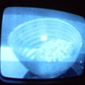 2006 01 10 09 35 48