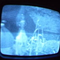 2006 01 10 09 37 38