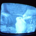 2006 01 10 09 38 28