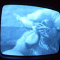 2006 01 10 09 38 37