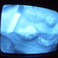 2006 01 10 09 39 58