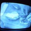 2006 01 10 09 40 08