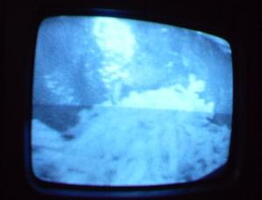 2006 01 10 09 40 48