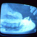 2006 01 10 09 40 57