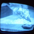 2006 01 10 09 41 18