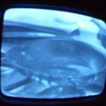 2006 01 10 09 42 48