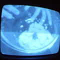 2006 01 10 09 43 08