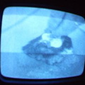 2006 01 10 09 43 47