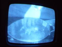 2006 01 10 09 44 58