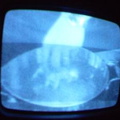2006 01 10 09 44 58