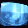 2006 01 10 09 47 58