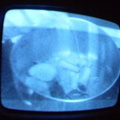 2006 01 10 09 48 18
