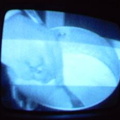2006 01 10 09 50 38