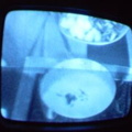 2006 01 10 09 50 58