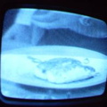 2006 01 10 09 51 38