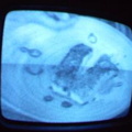 2006 01 10 09 51 48