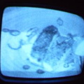 2006 01 10 09 51 58