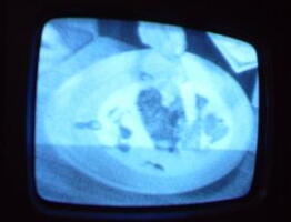2006 01 10 09 52 18