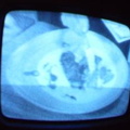 2006 01 10 09 52 18