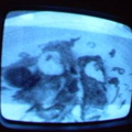 2006 01 10 09 53 48