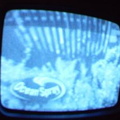 2006 01 10 09 54 58