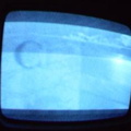 2006 01 10 09 55 48
