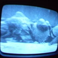 2006 01 10 09 58 08