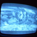 2006 01 10 10 02 38