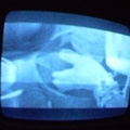 2006 01 10 10 06 18