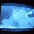 2006 01 10 10 07 18