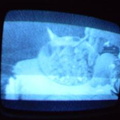 2006 01 10 10 07 38