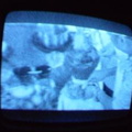 2006 01 10 10 07 49