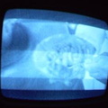 2006 01 10 10 08 29