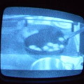 2006 01 10 10 11 59