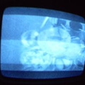 2006 01 10 10 12 19