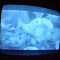 2006 01 10 10 12 29