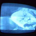 2006 01 10 10 13 39