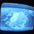 2006 01 10 10 17 09