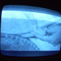 2006 01 10 10 18 29