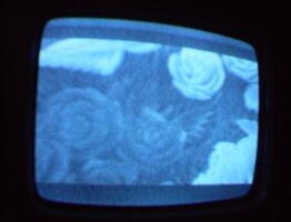 2006 01 10 10 18 49