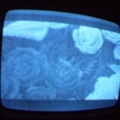 2006 01 10 10 18 49